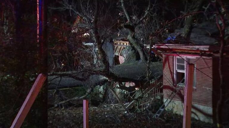 5-year-old boy was killed after tree falls on DeKalb County home
